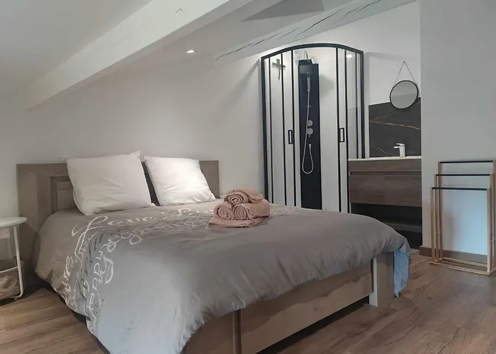 Maison Au Calme Pour 8 Personnes A 2 Pas Du Chateau D Anjou